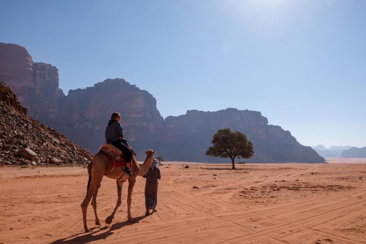 Wadi Rum Bedouin Camp And Desert Tours Εξωτερικό φωτογραφία