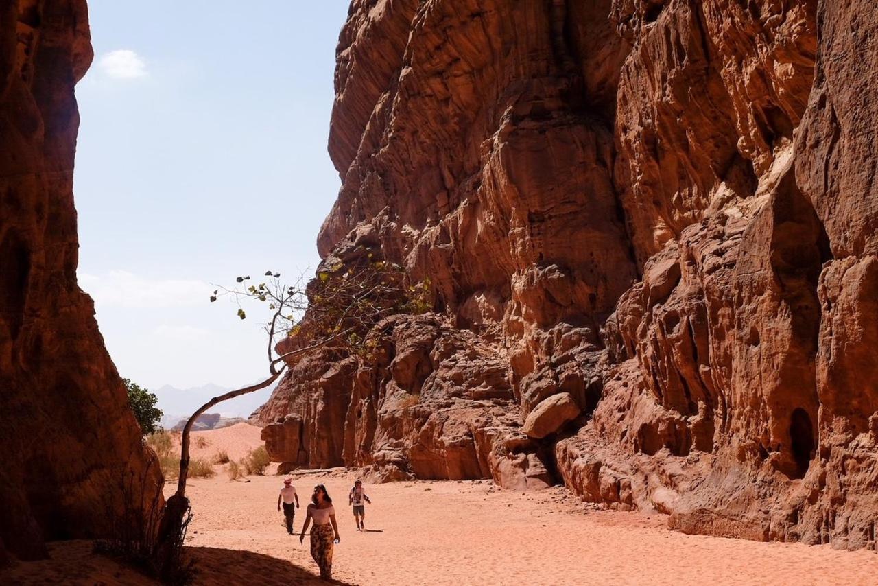 Wadi Rum Bedouin Camp And Desert Tours Εξωτερικό φωτογραφία