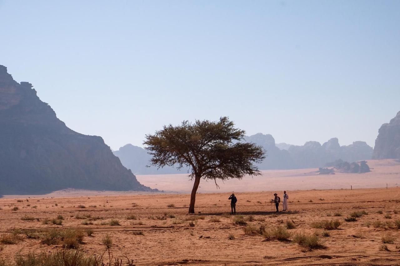 Wadi Rum Bedouin Camp And Desert Tours Εξωτερικό φωτογραφία